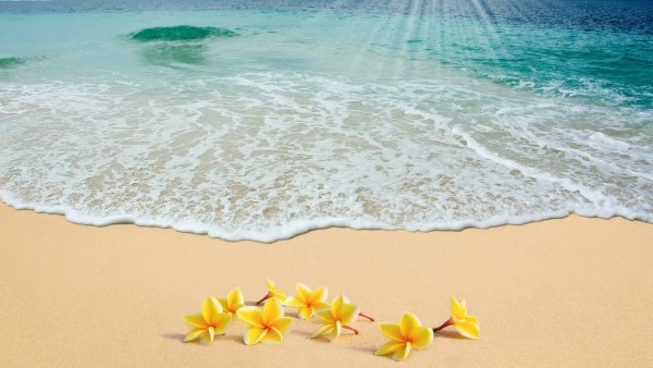 Лето море солнце пляж