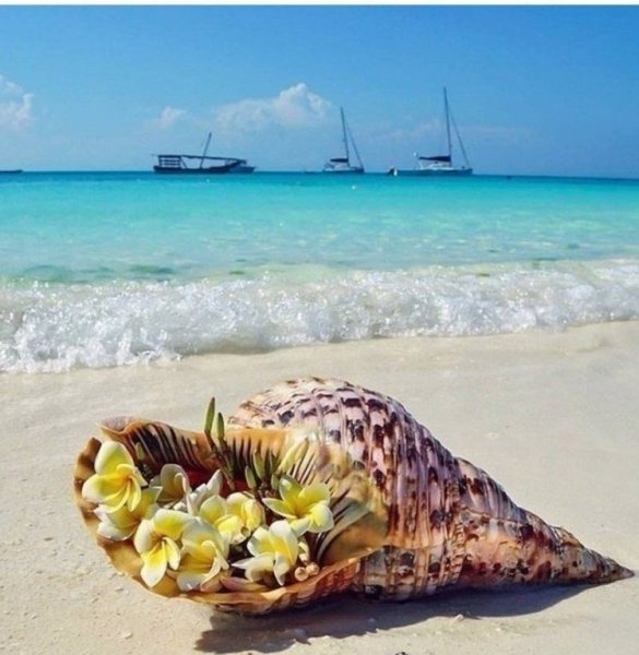 Танзания Занзибар море