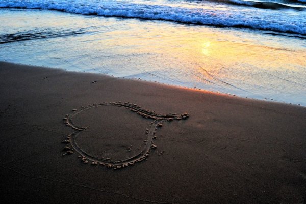 Надпись Диме