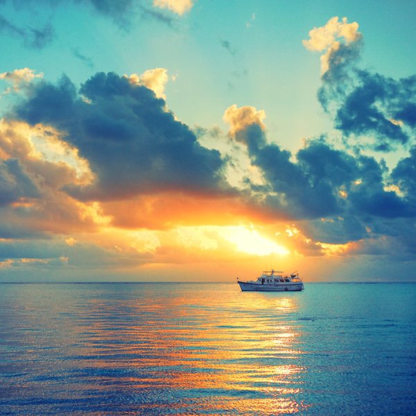 Дима надпись картинка