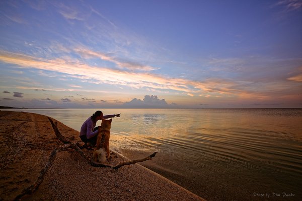 Ласковое море ждет