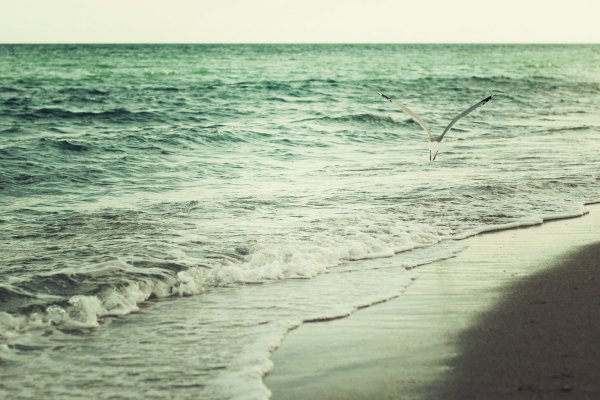 Надпись на песке на море