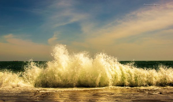 Дорофеев дыхание моря