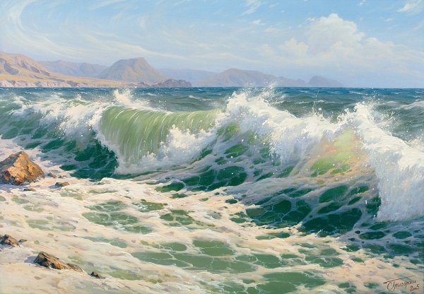 Ракушки в воде