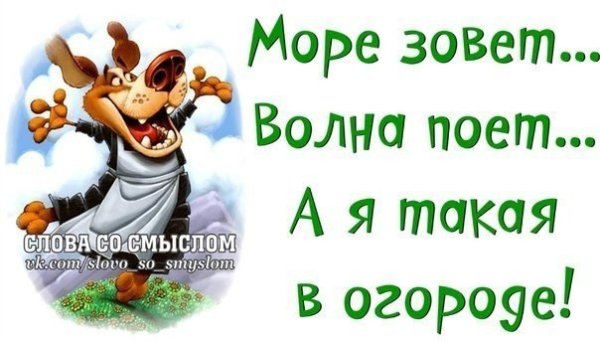 Женщина на огороде смешные