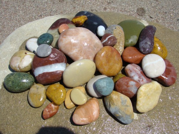 Композиции из морских ракушек