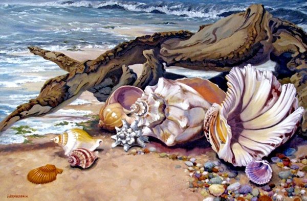 Колумбариум моллюск