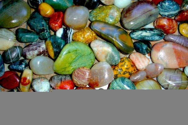 Морская Ракушка Витязево