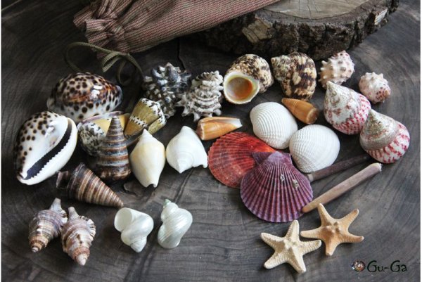 Берег со стороны моря