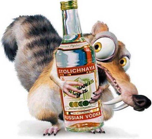 Водка белка
