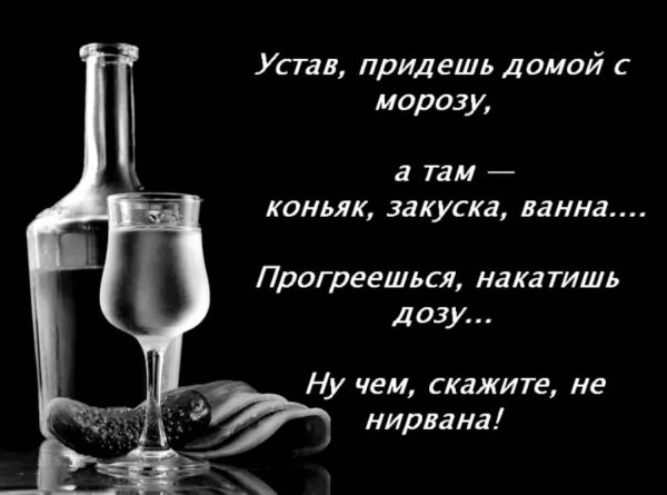 Стихи про водку