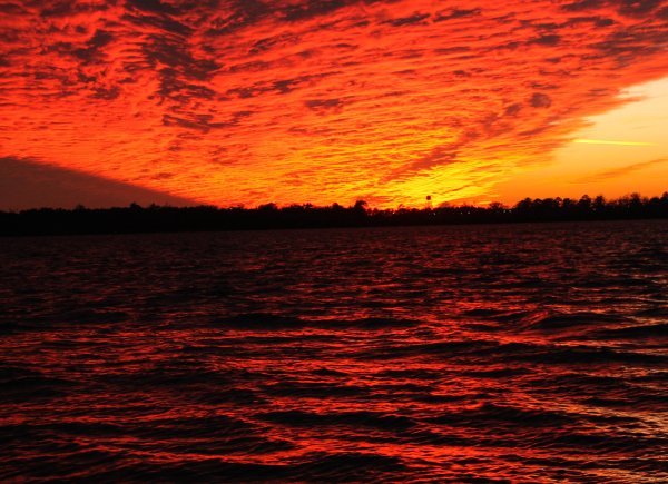 Кровавый рассвет