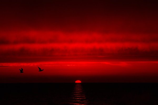 Кроваво красный закат