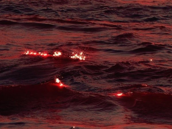 Море красного цвета