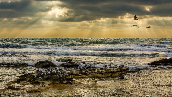 Каспийское море 4к