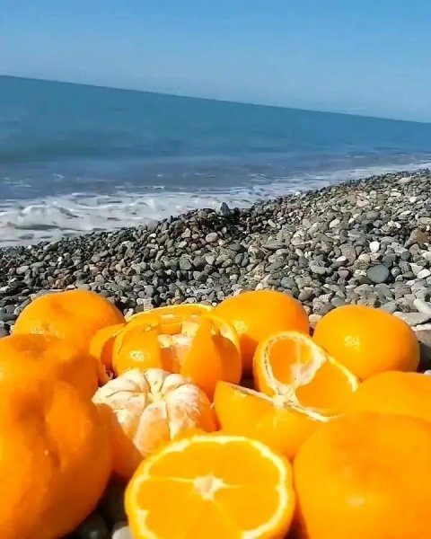 Море мандаринов