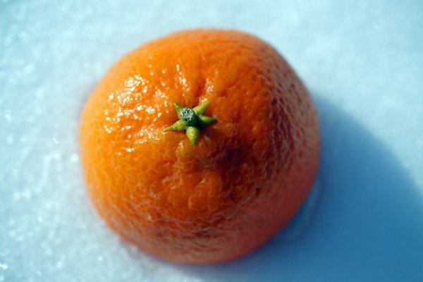 Мандарины Nadarcot