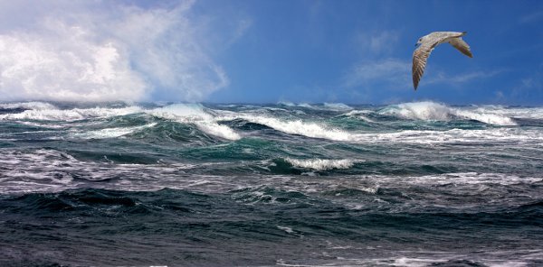 Море Буревестник