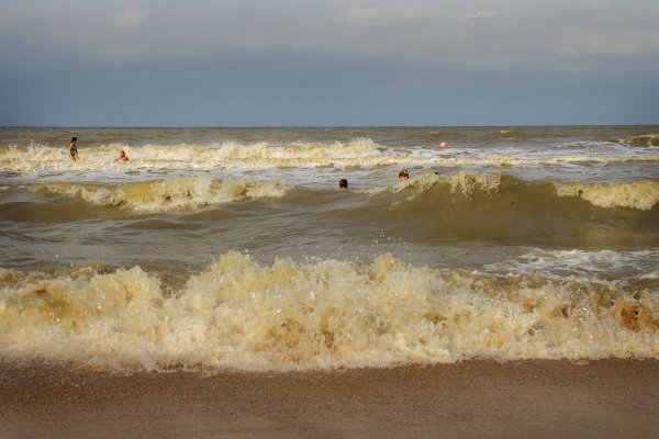 Волжанка Азовское море