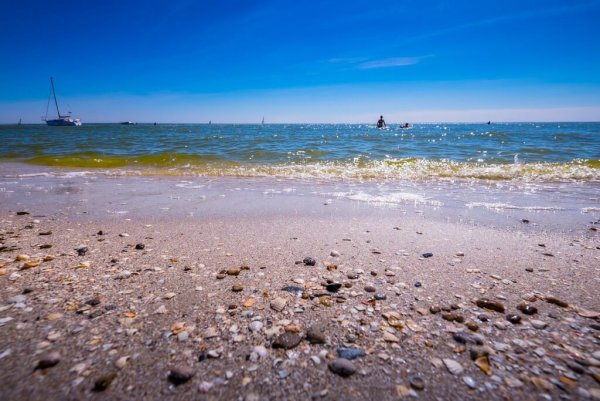 Берег Азовского моря Украины