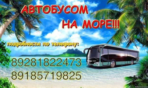 Бирюзовый автобус на море