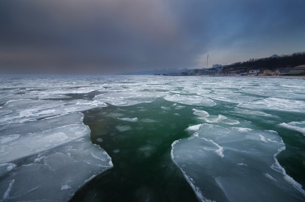 Берег черного моря зимой