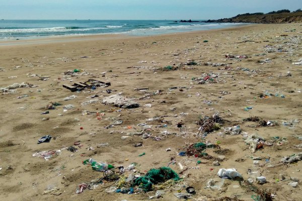 Грязное море