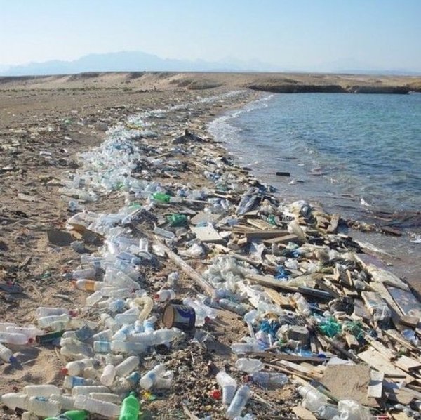 Загрязнение морей