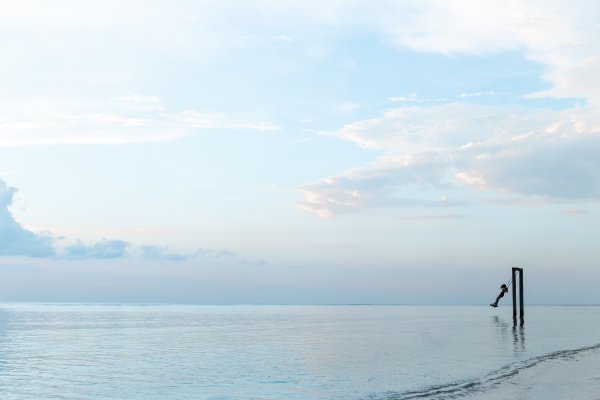 Безмятежное море