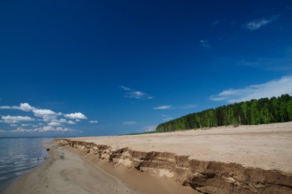 Золотые Пески Братское водохранилище