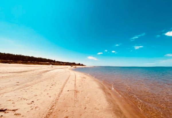 Братск золотые Пески Братское море