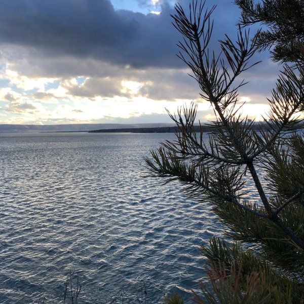 Братское Взморье золотые Пески