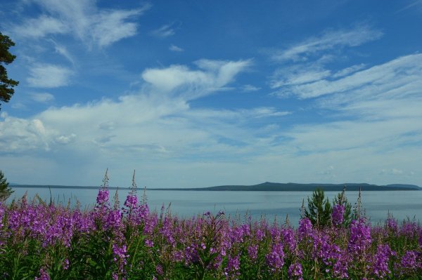 Фотографии в Братске море