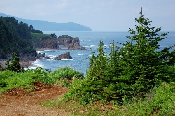 Остров Сахалин природа