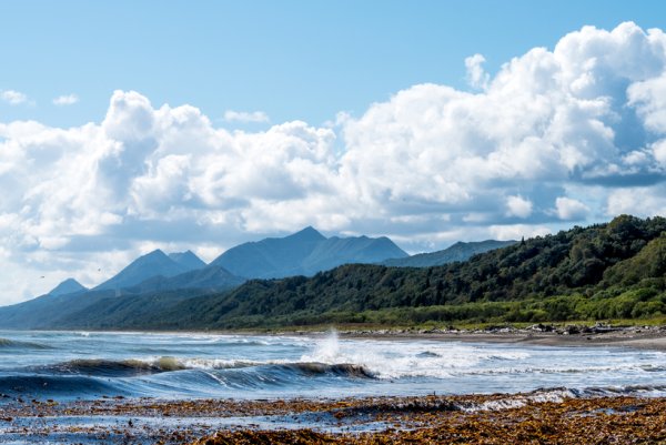 Южная Тайга Гудзонова залива