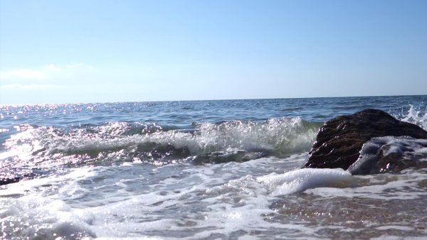 Голос моря фото