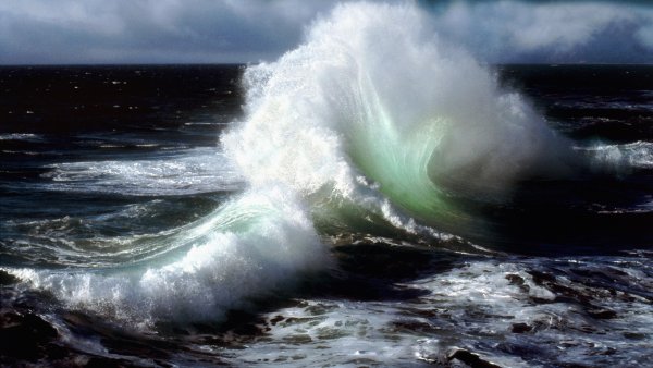 Голос моря фото