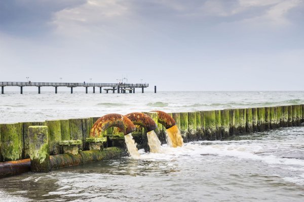 Загрязненное Балтийское море