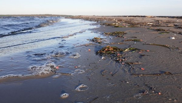 Загрязнение Балтийского моря