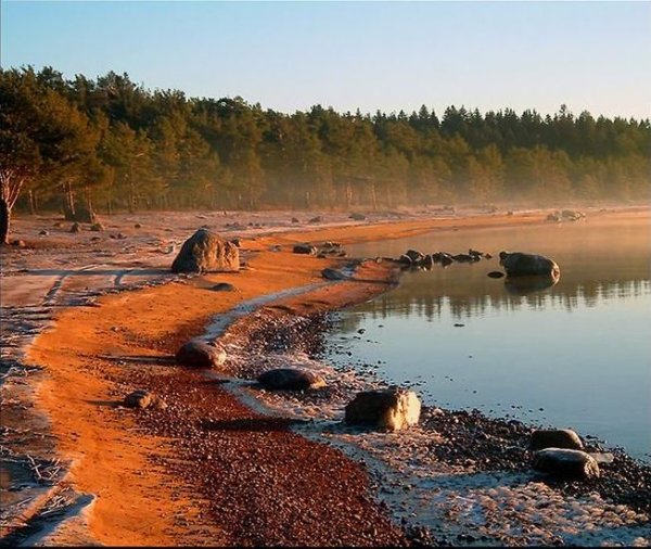 Экология Балтийского моря