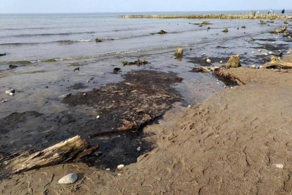 Загрязнение Балтийского моря