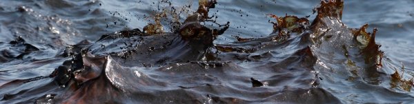 Загрязненное Балтийское море