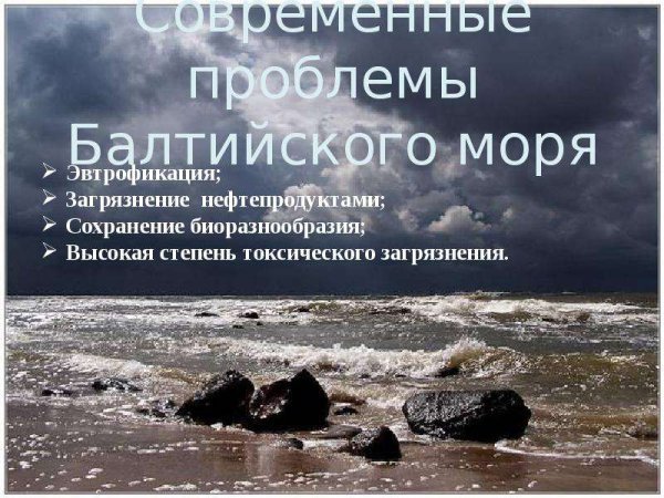 Загрязнение Балтийского моря нефтью