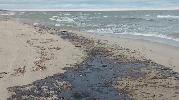 Экология Балтийского моря