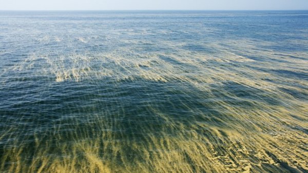 Загрязненное Средиземное море