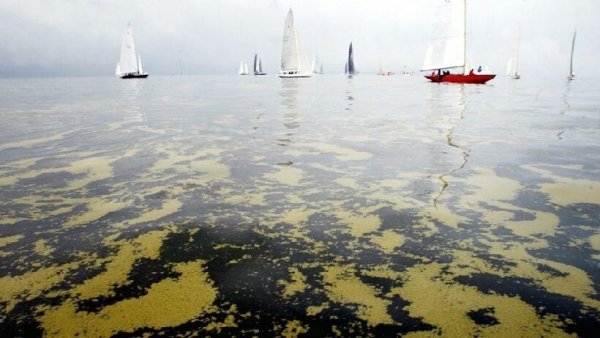 Балтийское море море загрязнение