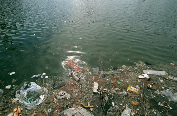 Загрязненное Балтийское море