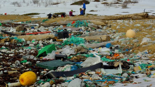 Экологические проблемы Балтийского моря