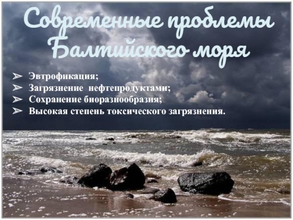 Эвтрофикация воды черного моря