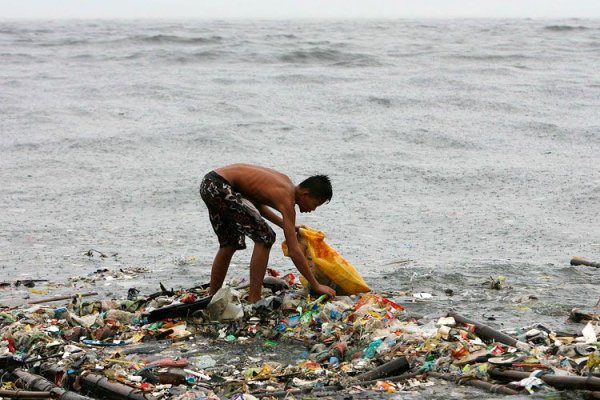 Загрязнение Балтийского моря